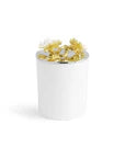 Butterfly Ginkgo Gold Scented Candle, 8 oz