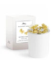 Butterfly Ginkgo Gold Scented Candle, 8 oz